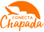 Conecta Chapada - Pacotes de Viagens para Chapada Diamantina