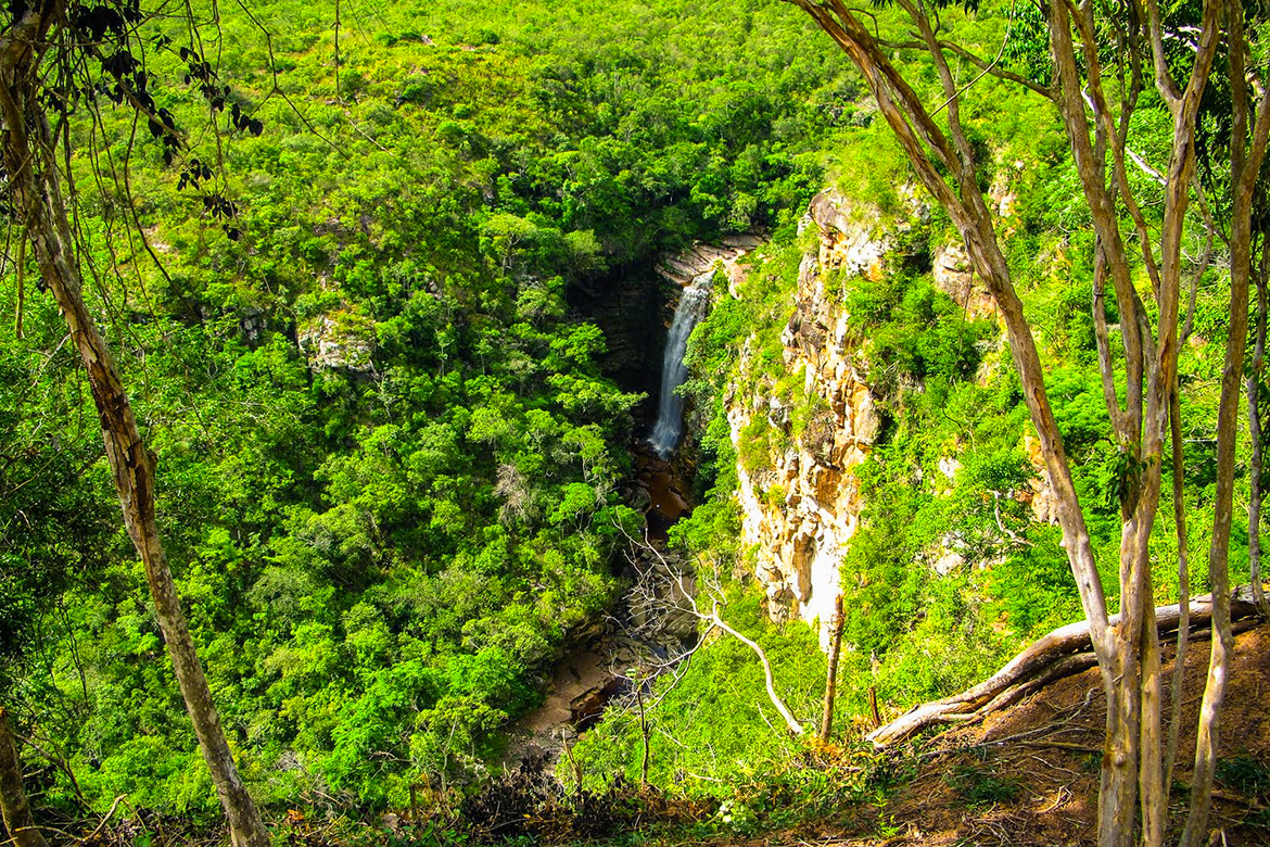 Natureza na Chapada Diamantina
