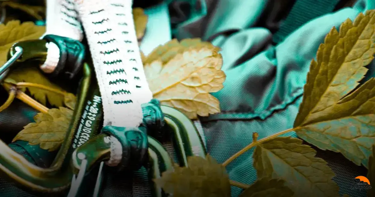 Escaladas na Chapada Diamantina