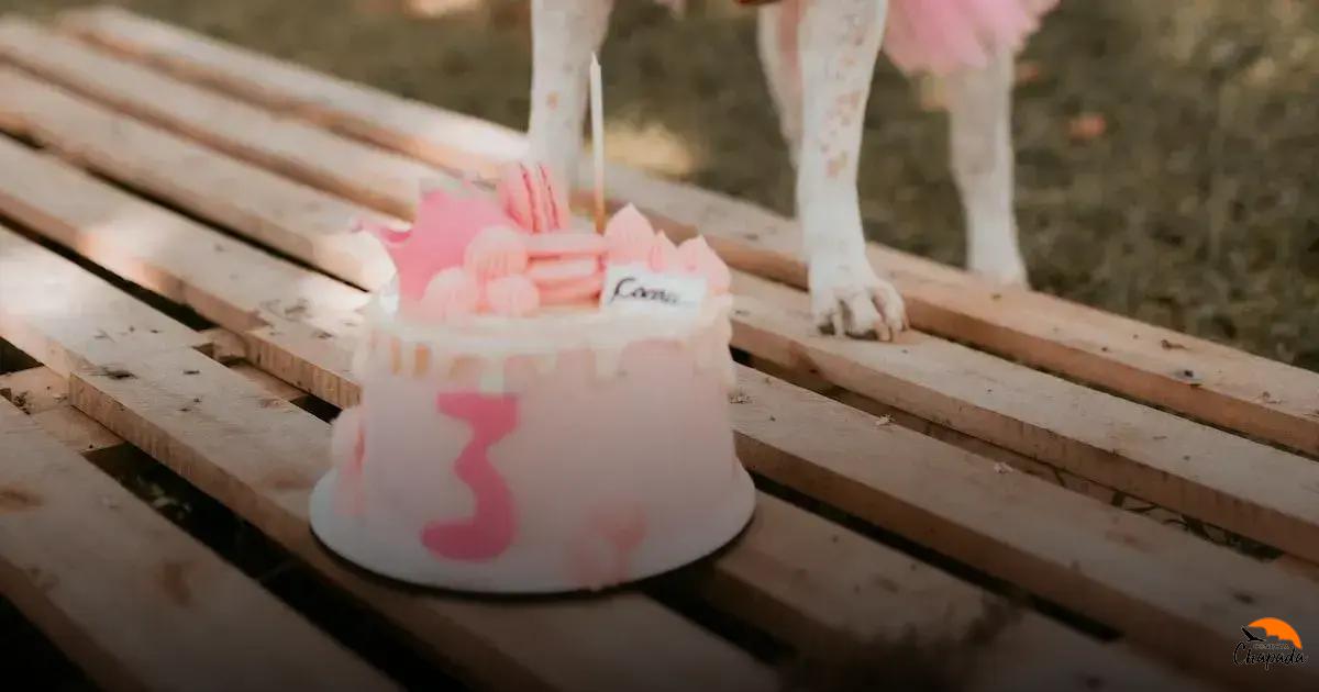 Melhores Atividades para Toda a Família na Chapada Diamantina