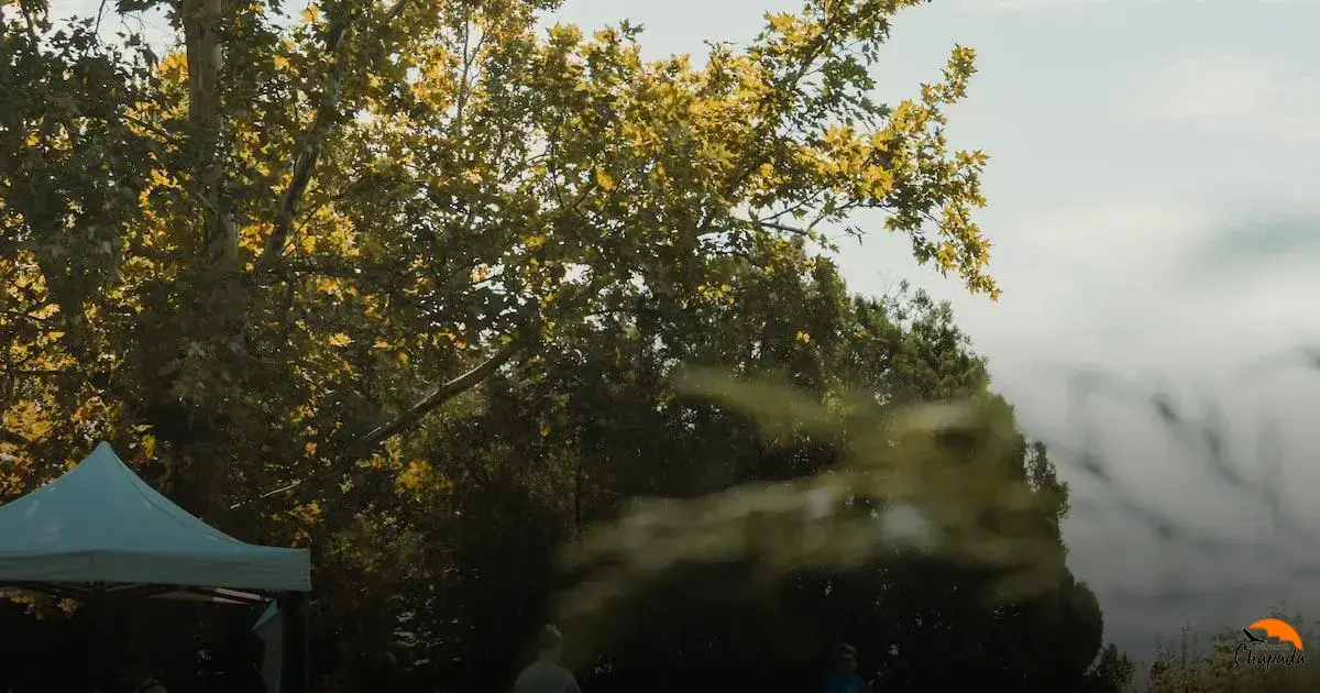 na Chapada Diamantina