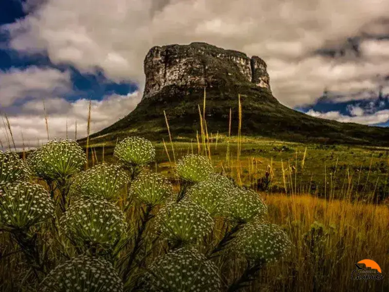 o que fazer na chapada diamantina