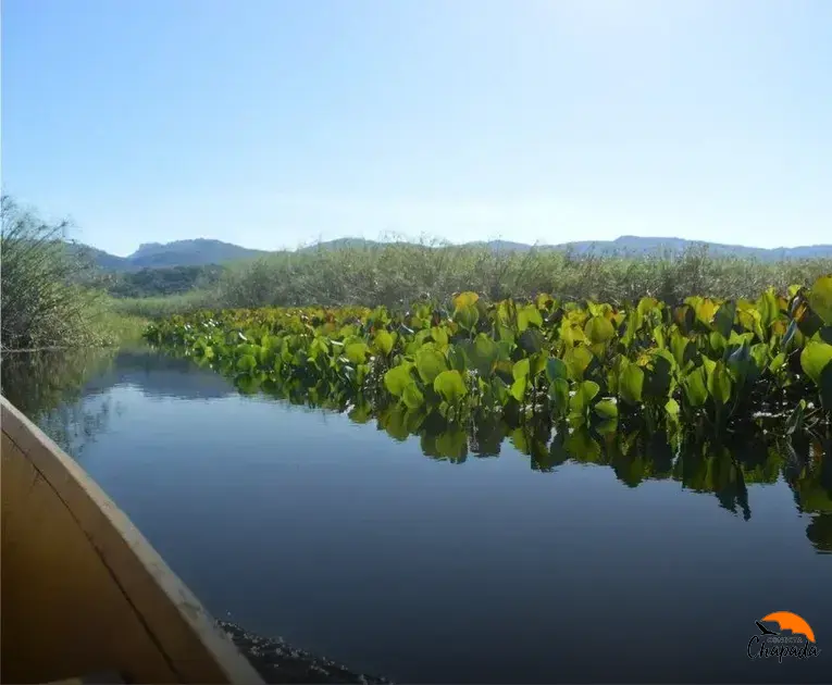 Pantanal de Marimbus na Chapada Diamantina