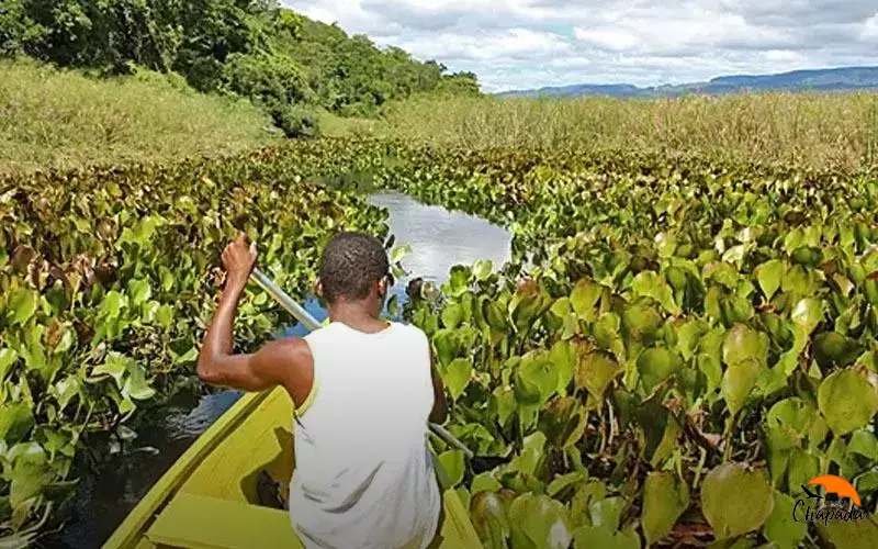 Atividades ao ar livre em Chapada Diamantina