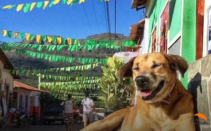 Principais Festividades do São João 2024 na Chapada Diamantina