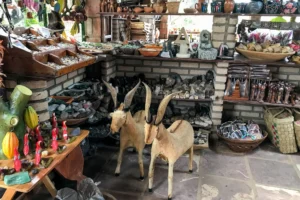 O que Você Vai Ver no Passeio O que Você Vai Ver no Passeio