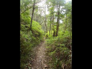 Trilha da Cachoeira da Purificação: Um Mergulho na Natureza da Chapada Diamantina 1 O que Você Vai Ver no Passeio