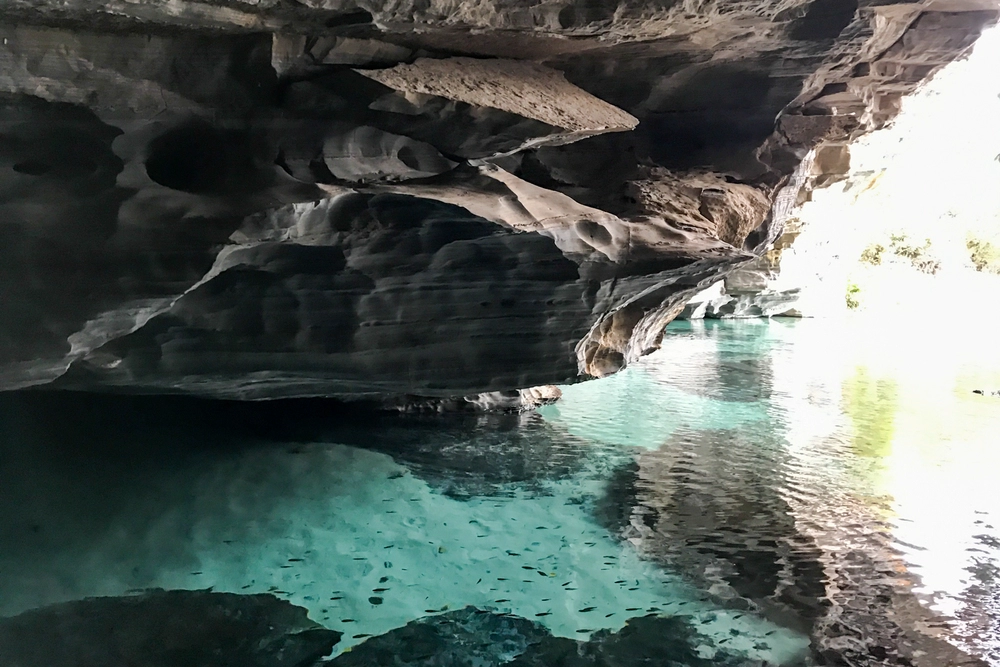 Trilha do Rio Pratinha Revelada