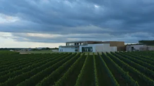 Vinícola UVVA será aberta ao público em Mucugê Vinícola UVVA será aberta ao público em Mucugê